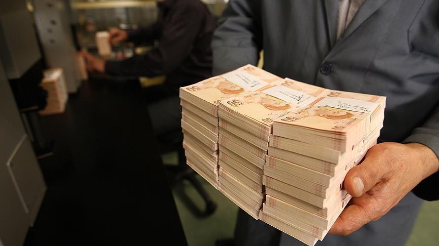 Turkish Treasury sees $730M cash surplus in July