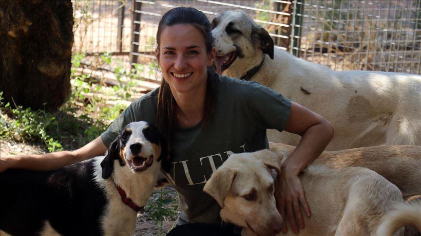 Dutch woman enjoys caring for stray animals in Turkey