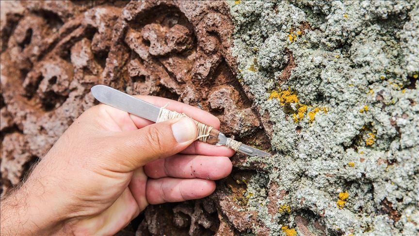 Seljuk cemetery reveals medieval life