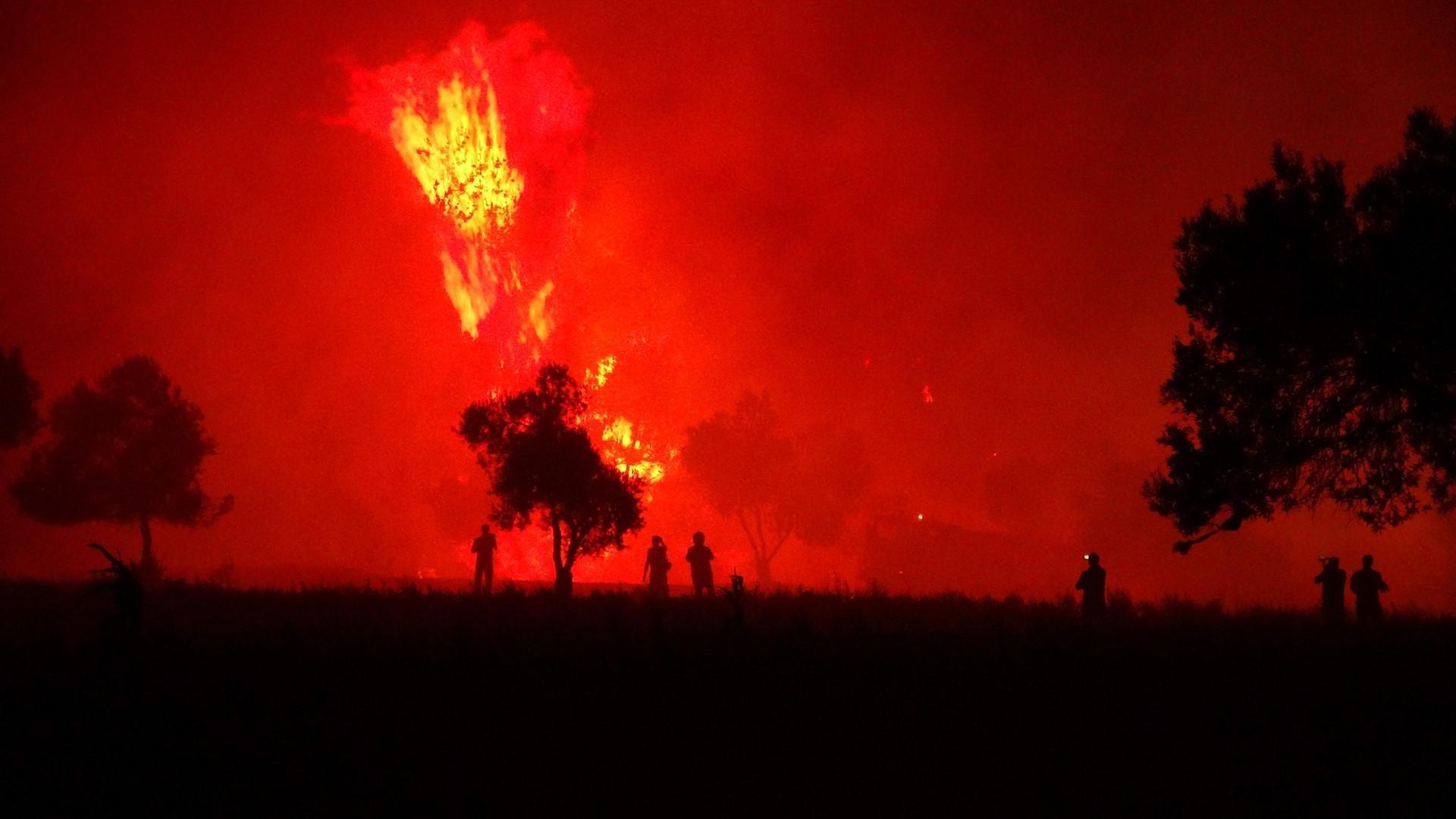 Forest fire near Gallipoli cemeteries contained