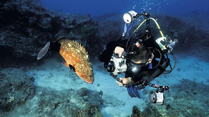 Colorful marine life of Turkey to be exhibited at UN