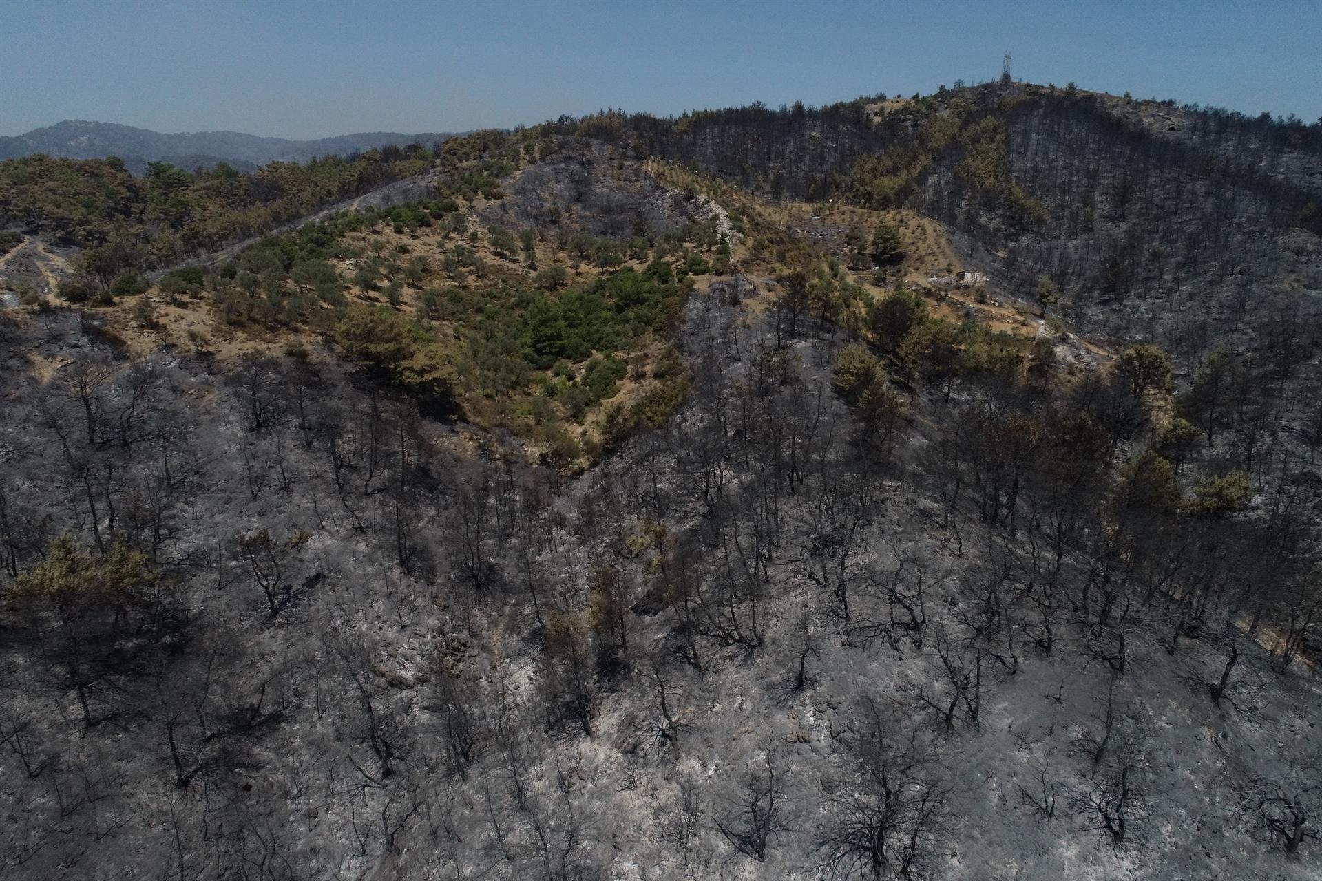 Fire brought under control in İzmir’s Karabağlar
