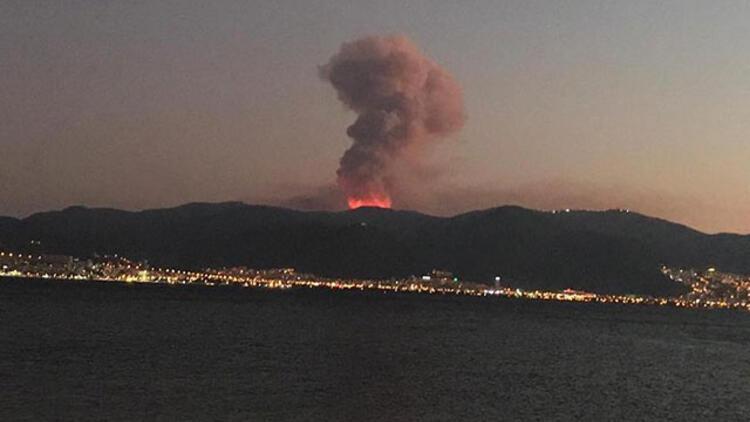 İzmir municipality to launch reforestation campaign for burned areas