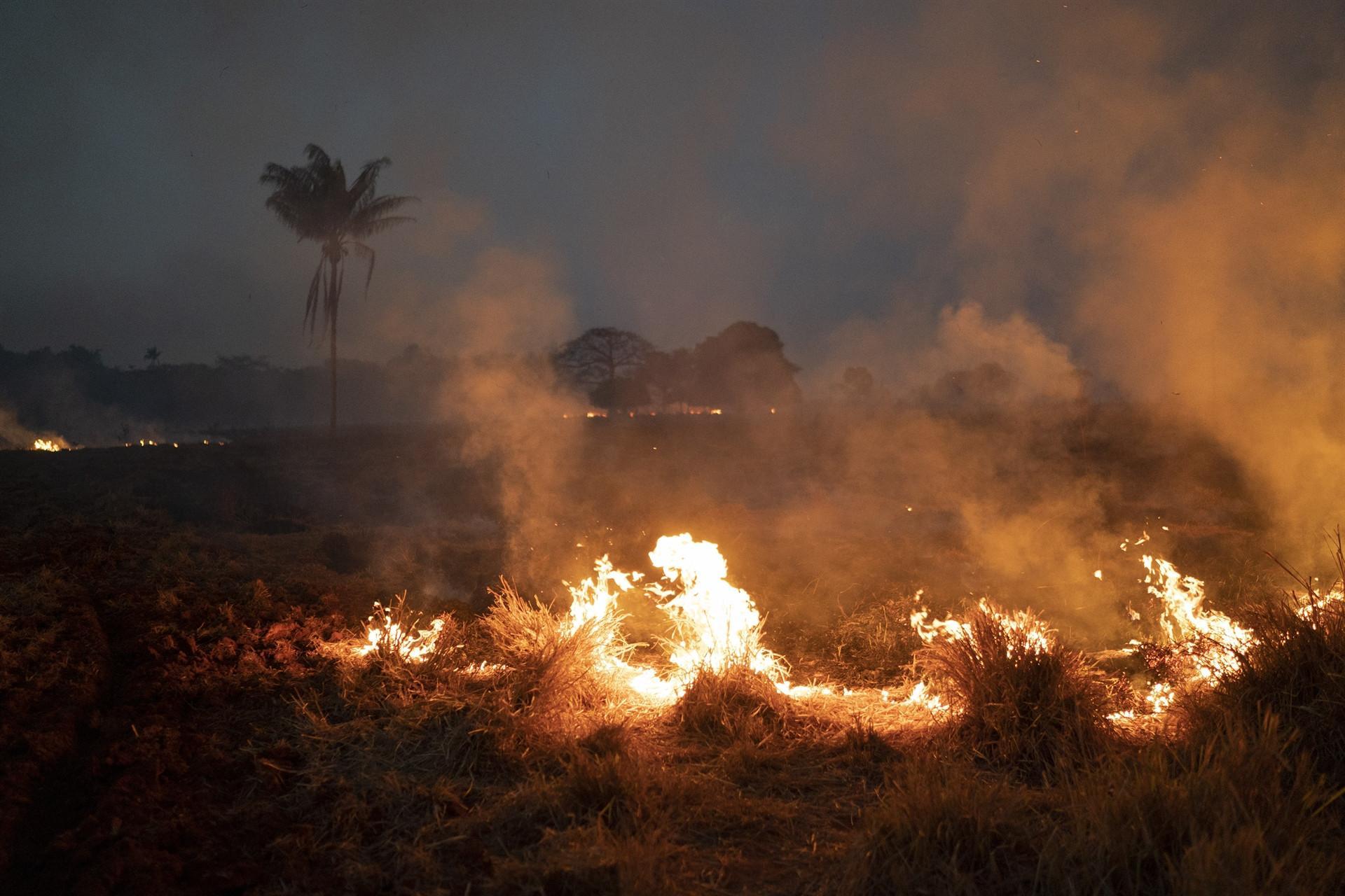 Brazilian states ask for military help as Amazon fires rage