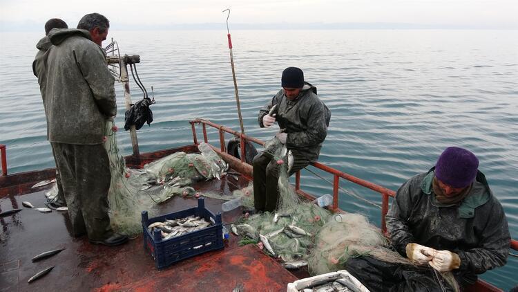 Fishermen expect more anchovy, less bonito in upcoming season
