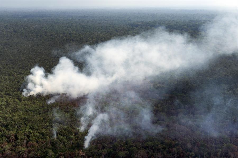 Brazil says open to aid for Amazon fires, but will decide how its used