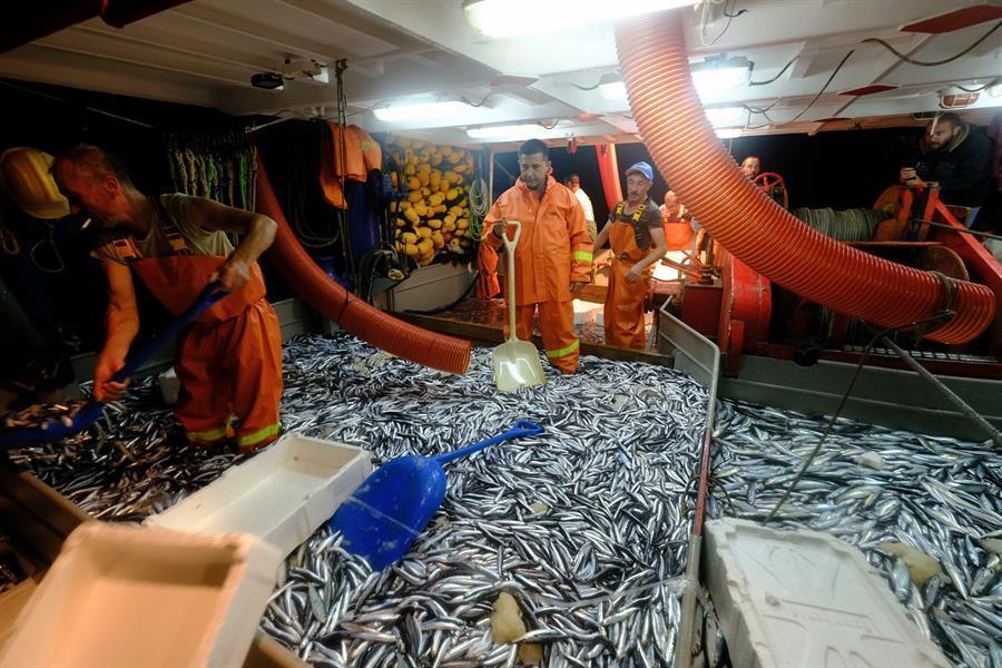 Fishermen set sail as seasonal ban ends