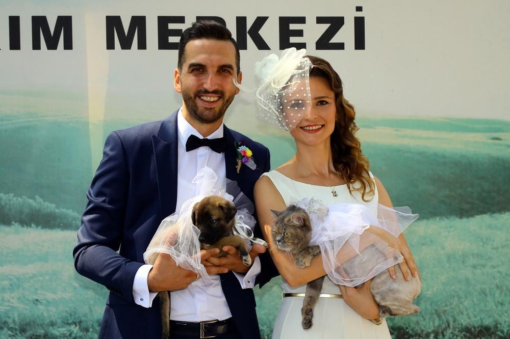 Couple gets married in animal shelter