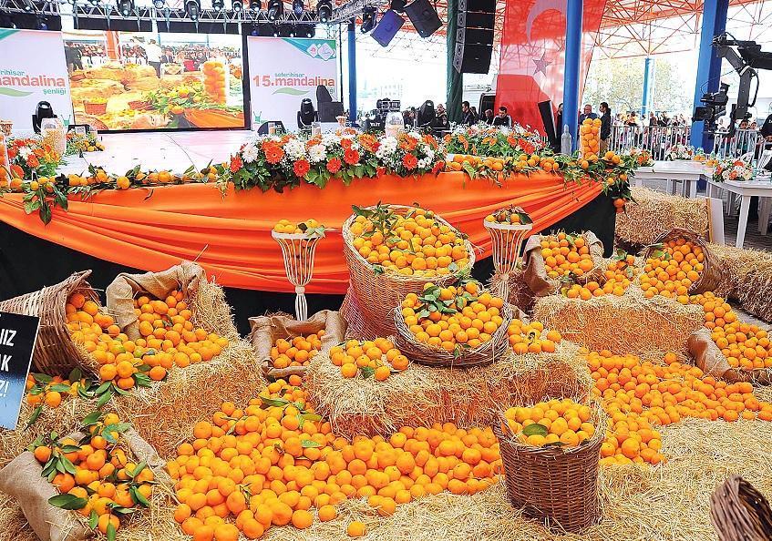 Citrus producers target 10 pct increase in exports