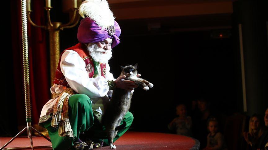 Moscow Cat Theatre invites guests