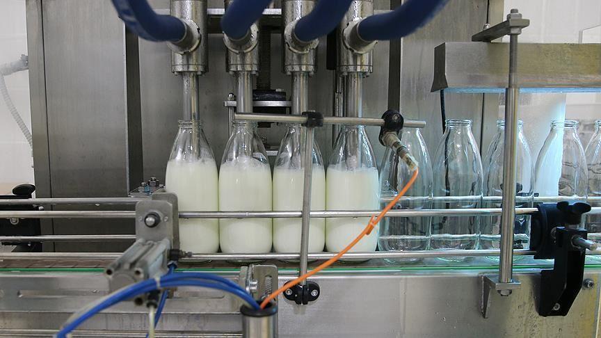 Turkish dairy products now reach 88 countries worldwide