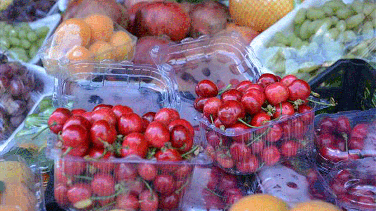 Turkish exporters want to get top spot in Russian fruits market