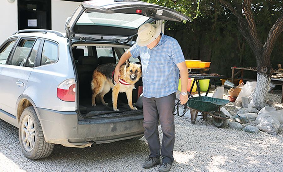 Excavation team adopts stray dog, finds home for another