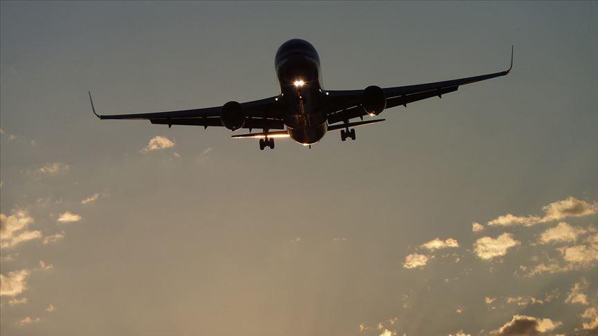 Airlines agree on price cap for domestic flights