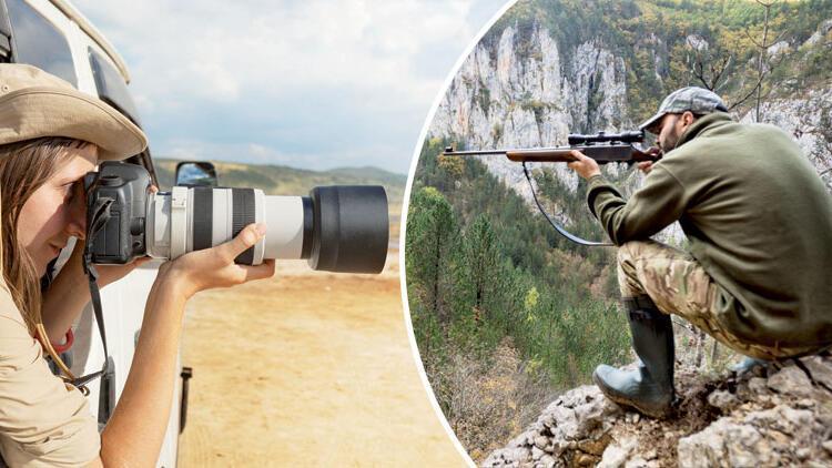 Hunting should be banned for certain period of time: Commission