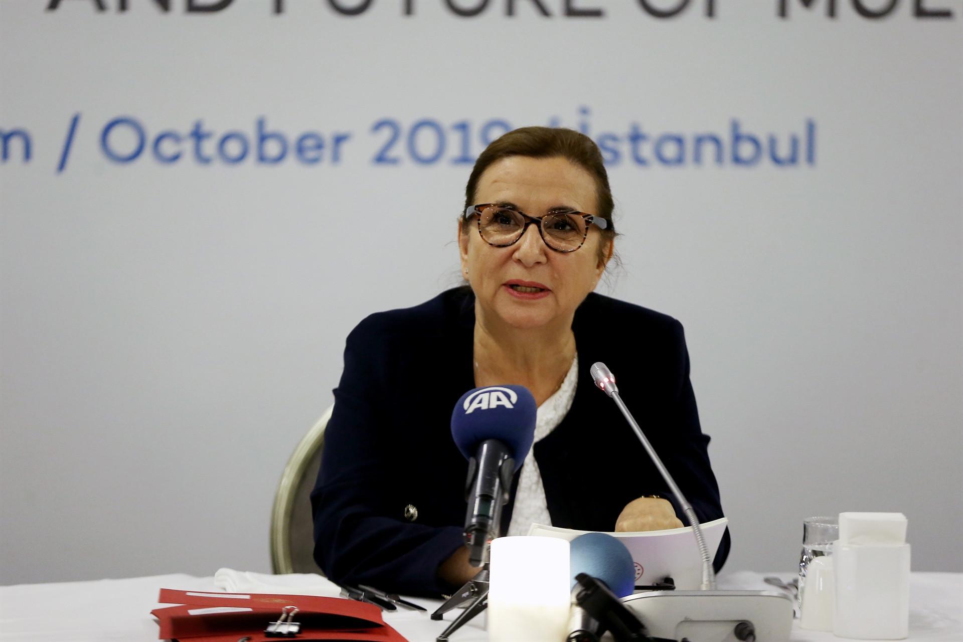 Turkey raises concerns over Brexit, trade wars