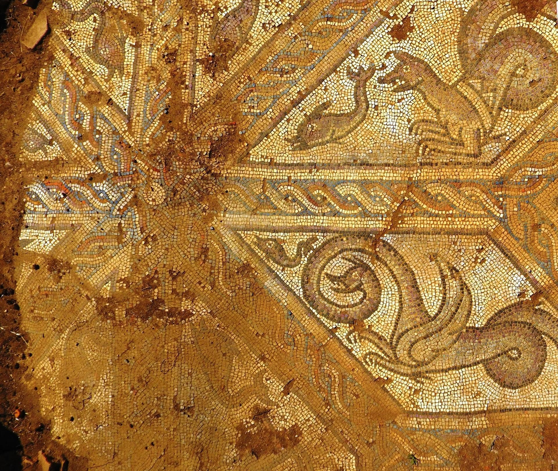 Mosaic in Çanakkale unearthed