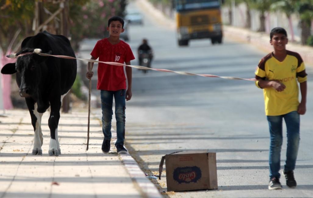 Civil council to take power in freed Tal Abyad: Syria