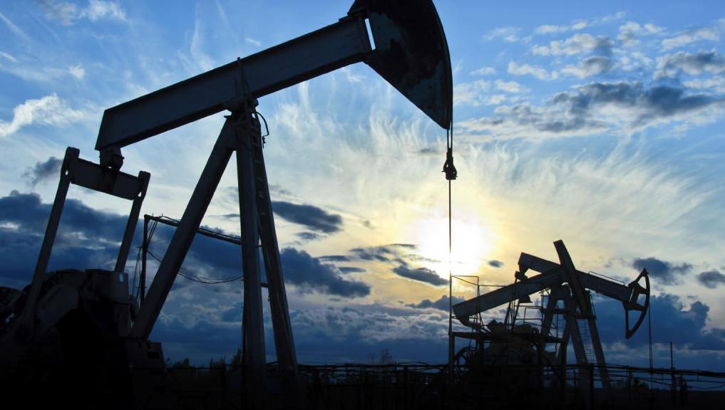 Oil imports rose 12 percent in August