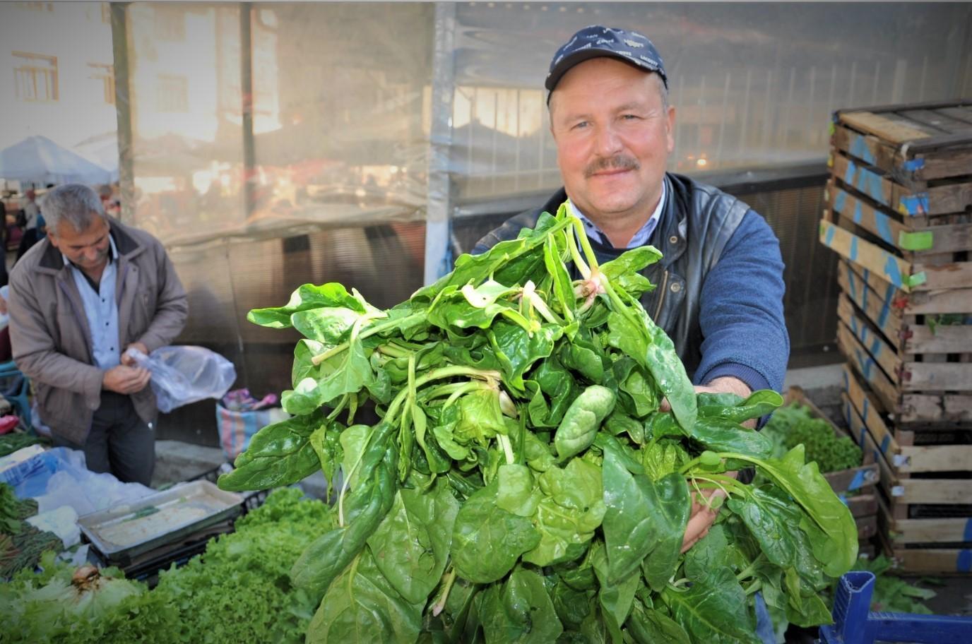 Training to be given to farmers on weeds, spinach: Chamber head