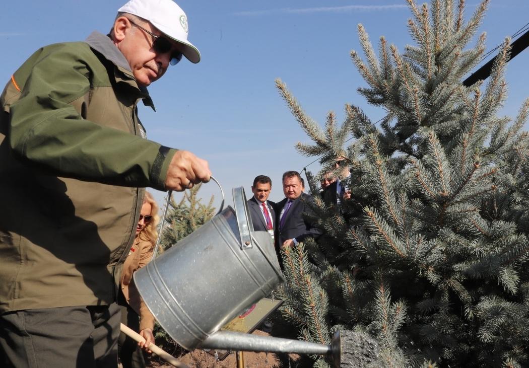 Turkey plants 11 million saplings on National Forestation Day