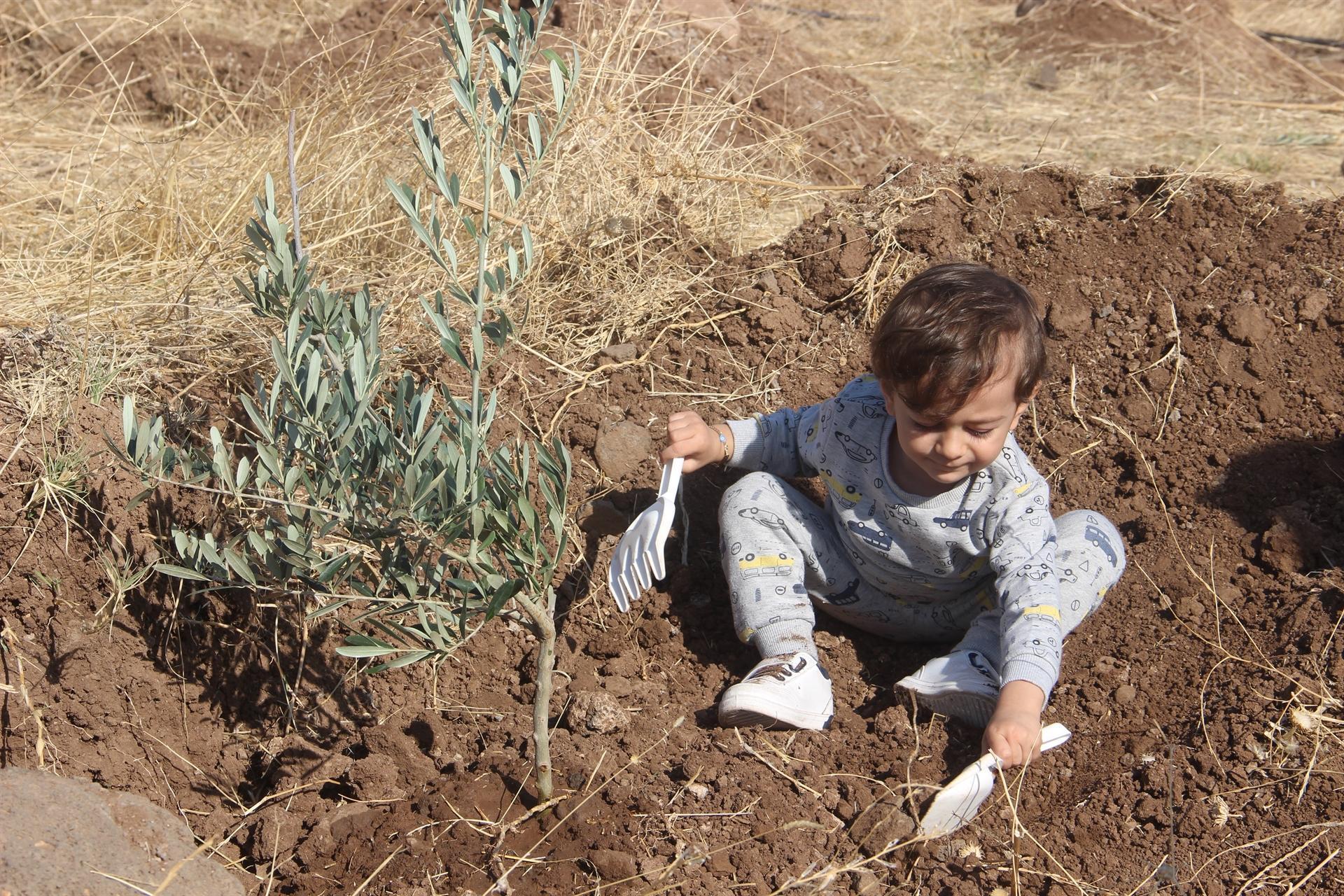 Turkey breaks world record of most sapling planted in 1 hour
