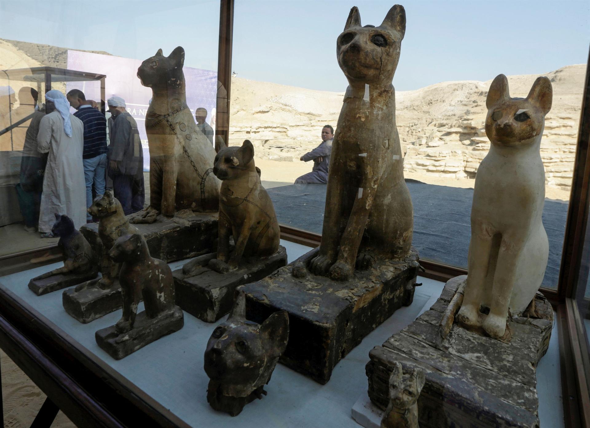 Egypt unveils animal mummies of lion cubs, crocodiles, birds