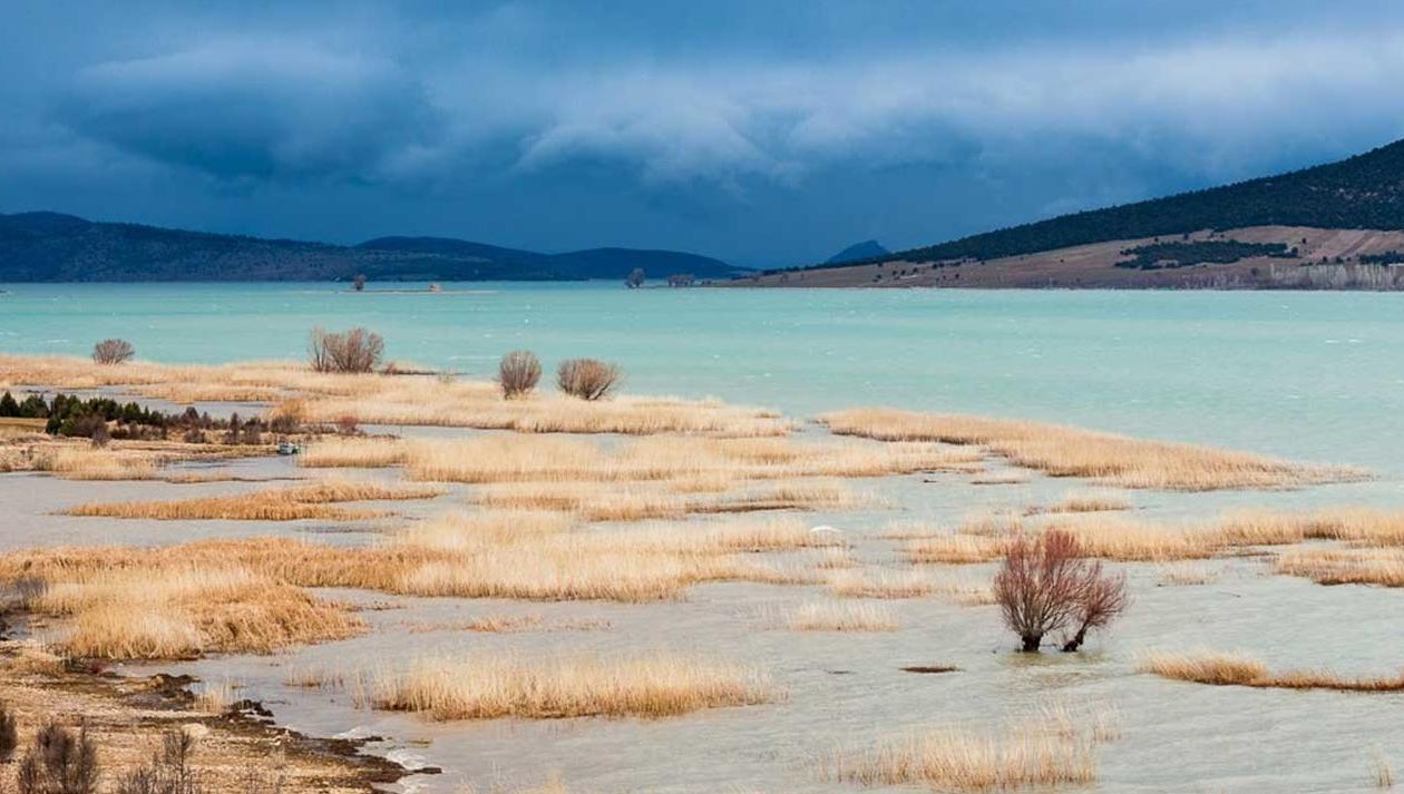 Flesh-eating fish reduced water level of Lake Beyşehir, mayor says