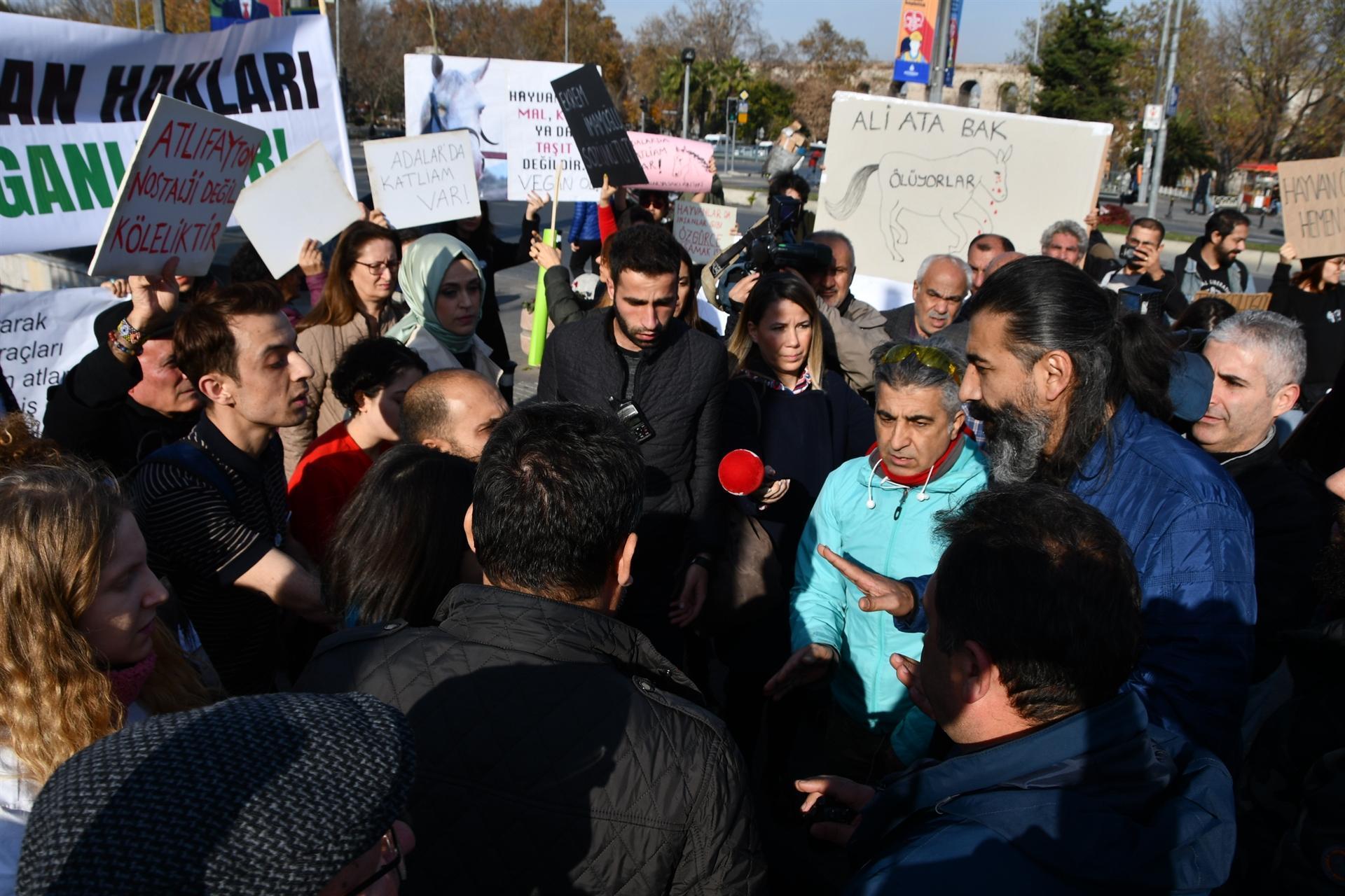 İBB önünde fayton protestosu hayvanseverler çadır kurdu Son Dakika