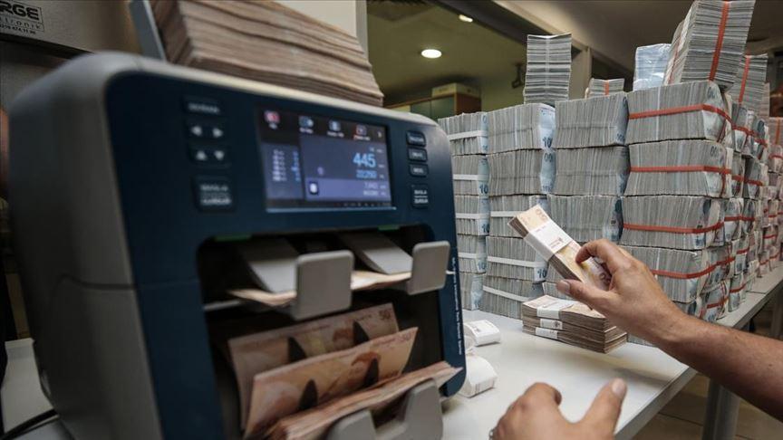 EBRD loans $100 mln in Turkish lira equivalent to Enerjisa