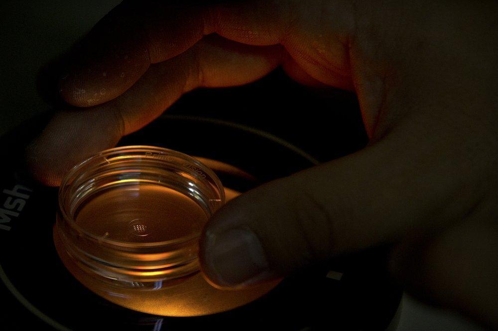 China convicts 3 researchers involved in gene-edited babies