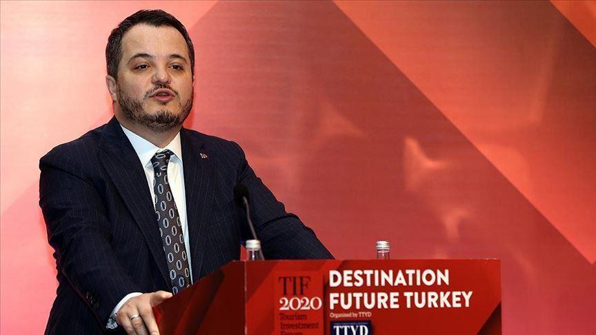 Turkeys share in global FDI may double: Official