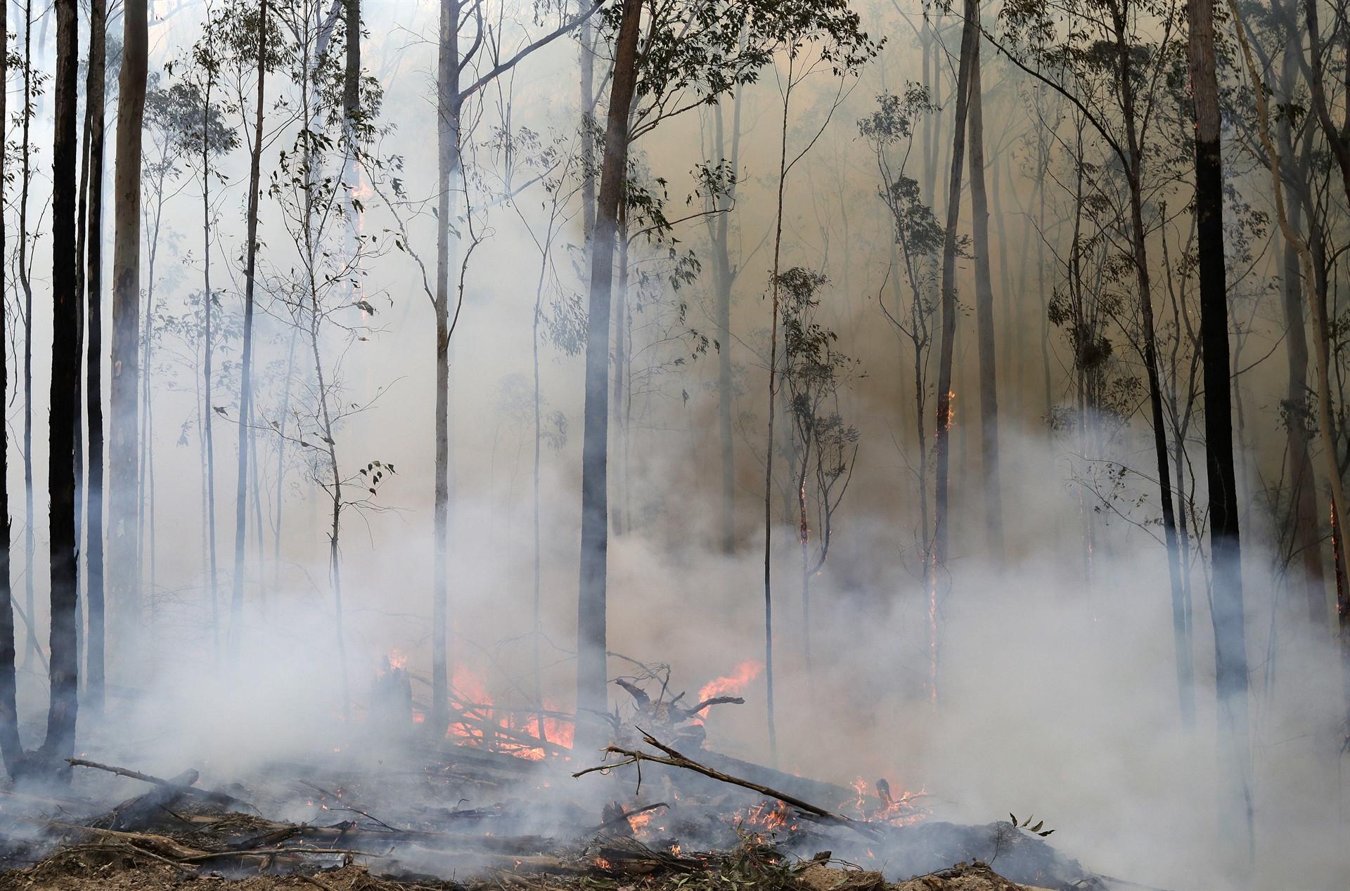 State of emergency declared as bushfire threatens Australian capital