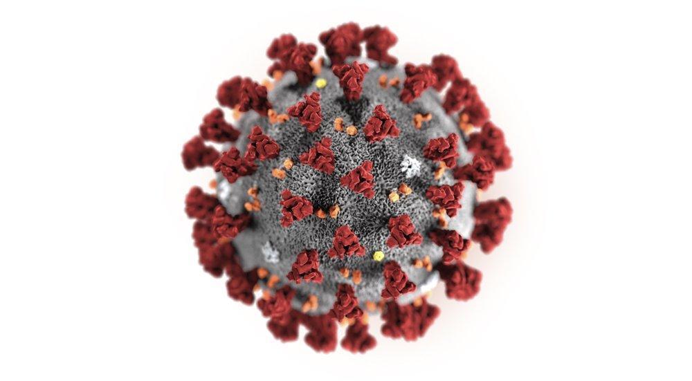 The global spread of the coronavirus: Where is it