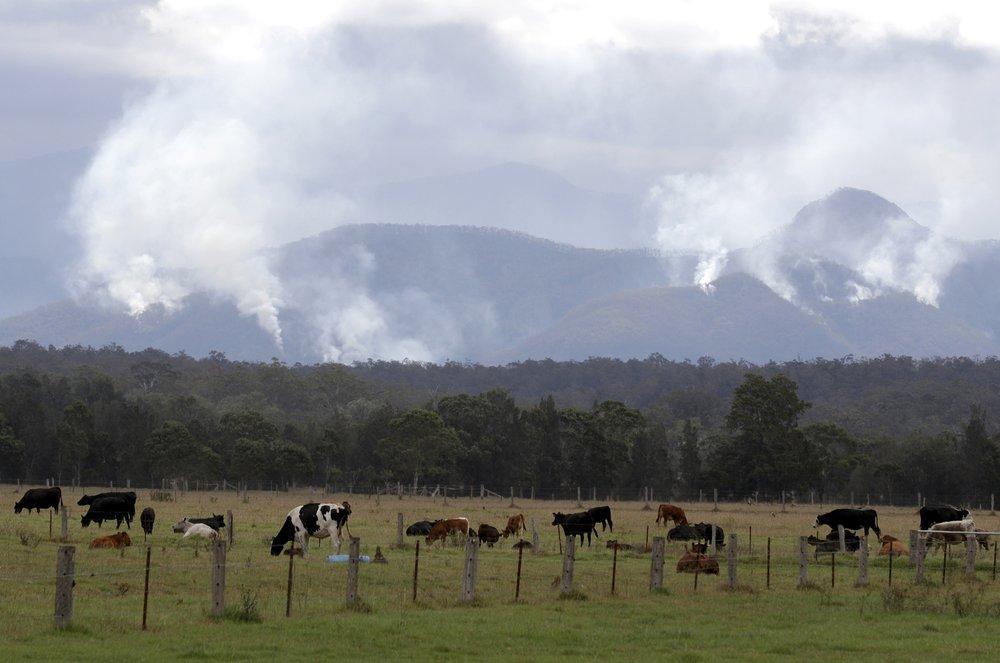 Australias capital braces as hot, windy conditions fuel bushfires