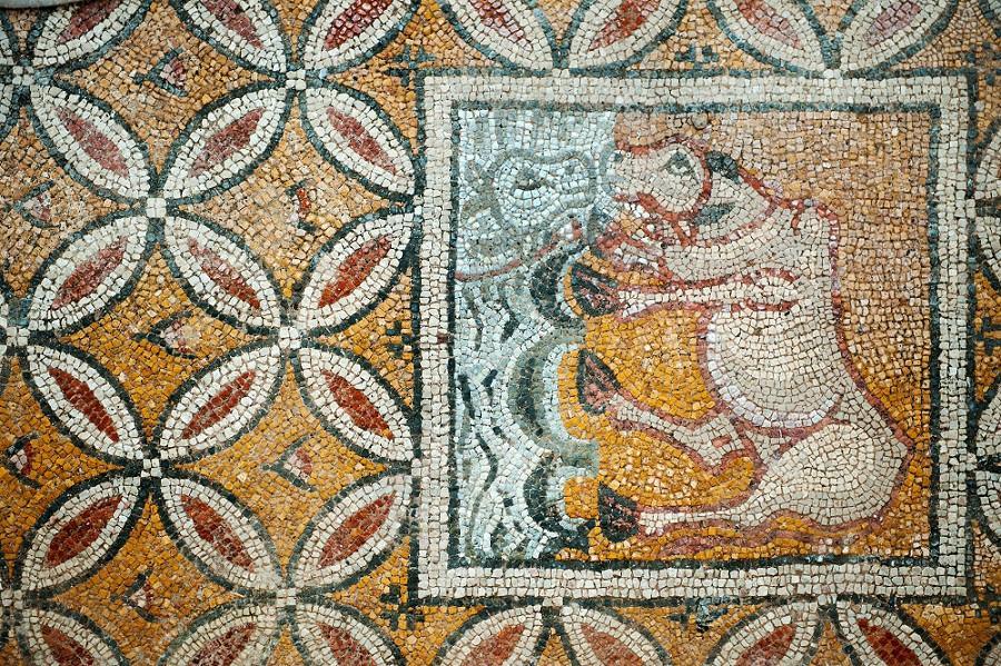 Black Seas Zeugma to be archeological site