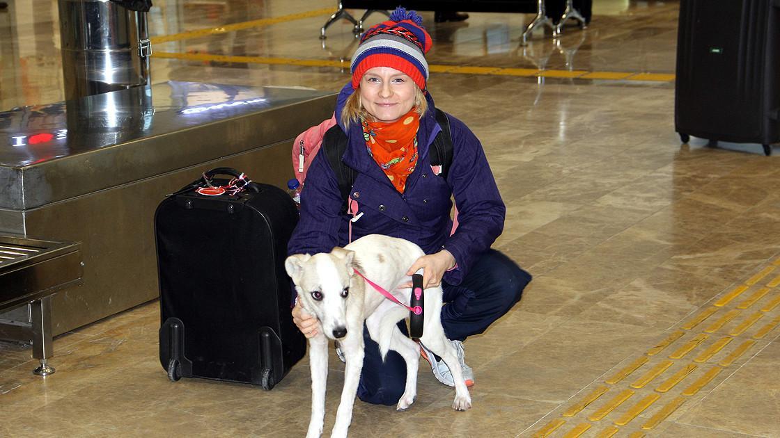 German vet student rescues stray dog in Turkey