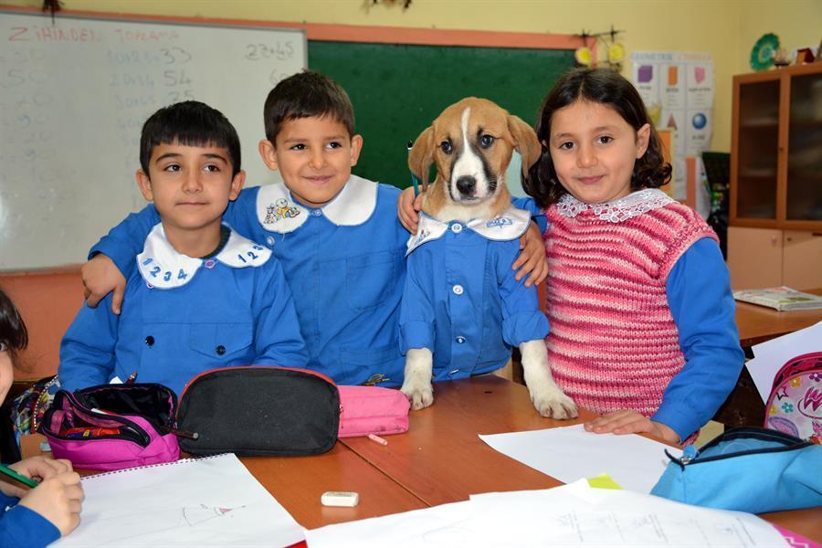 Rescued puppy attends classes in village school dressed in uniform