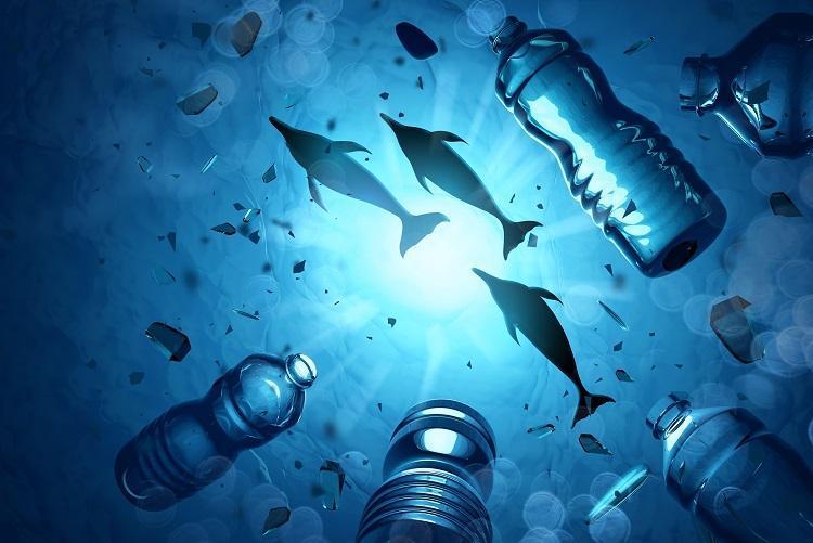 Scientists gather to study risk from microplastic pollution