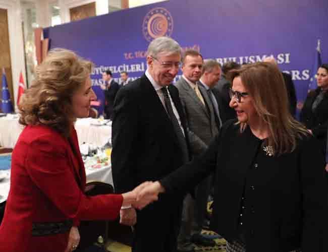 Turkey appeals to EU envoys to upgrade customs union