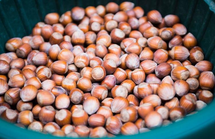 Turkey earns $1.44 bln from hazelnut exports in 6 months