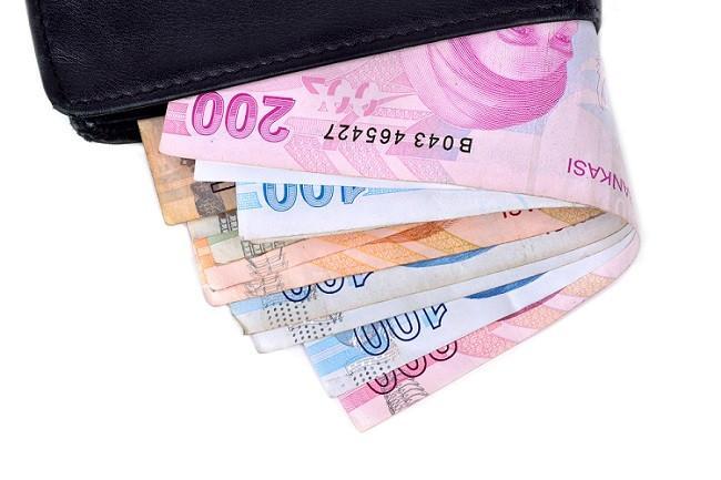 Treasury borrows $1.4 bln from domestic markets