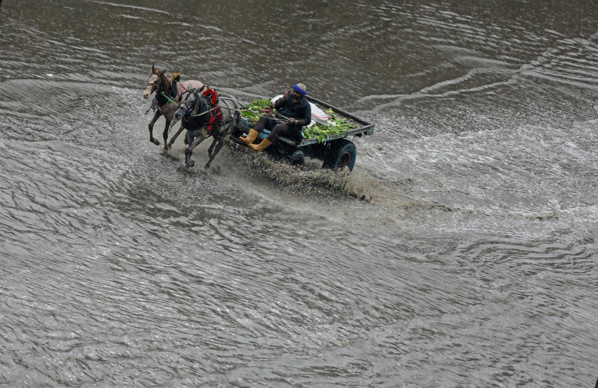 Egypt says nearly 20 killed in freak bad weather
