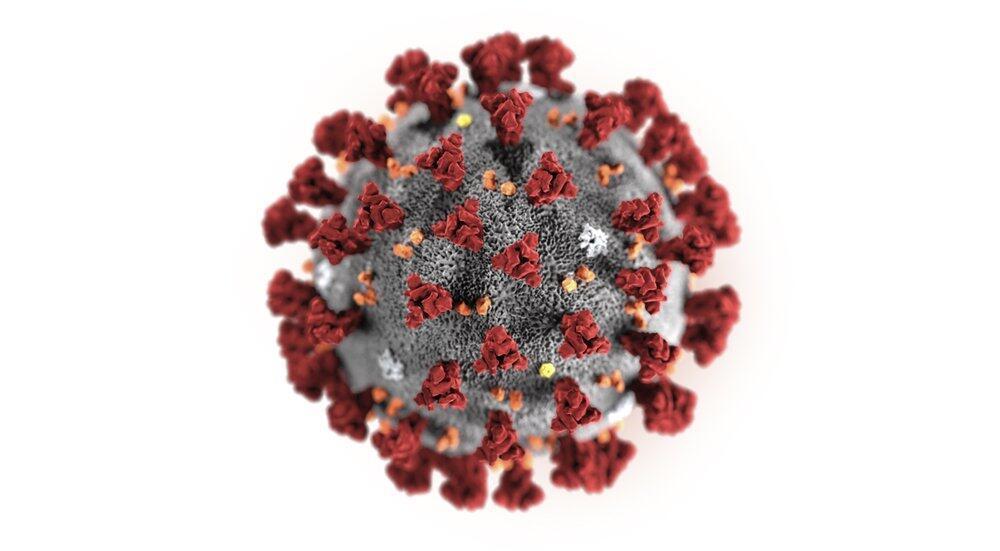 How it spreads, infects: Coronavirus impact comes into focus
