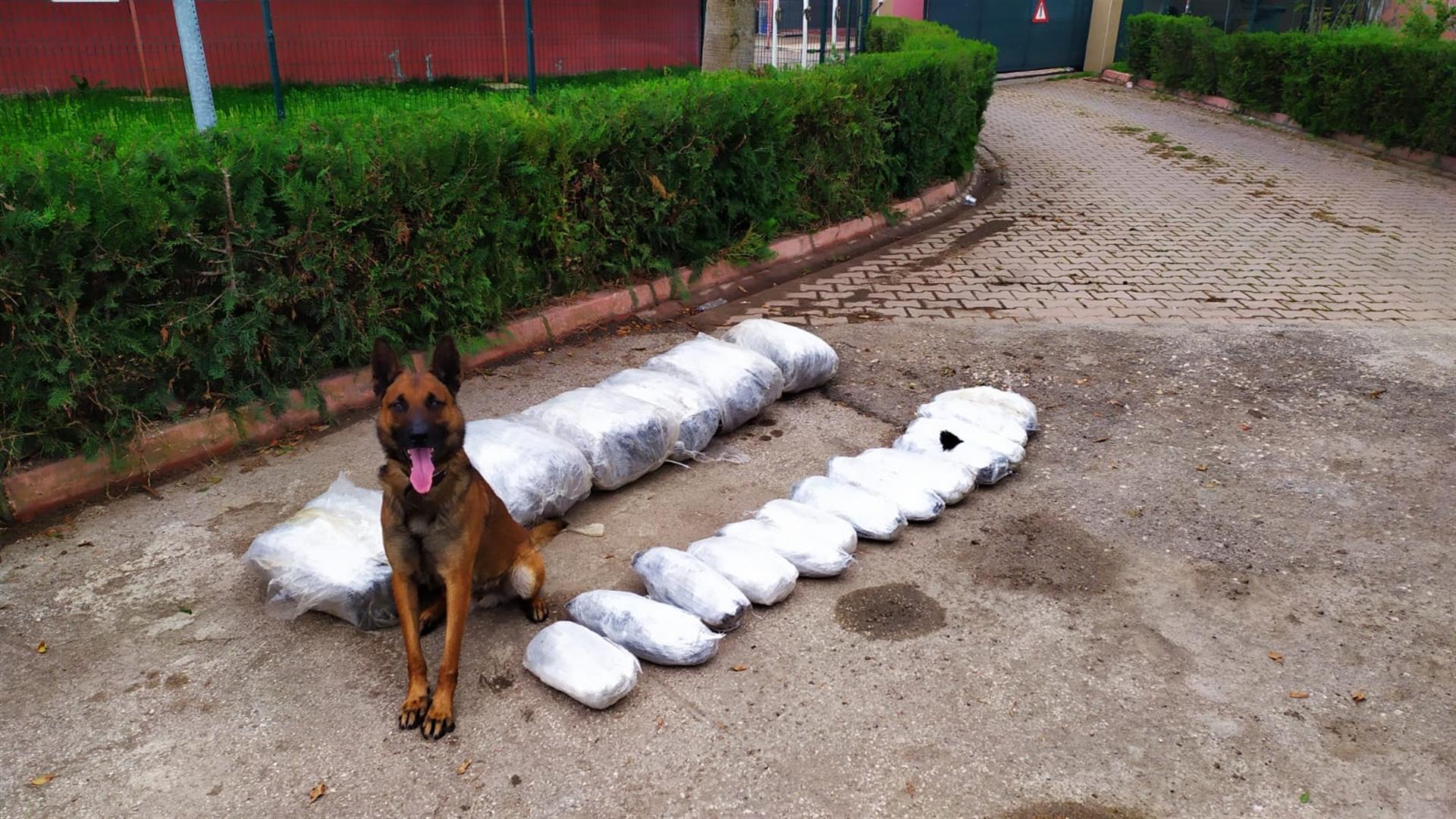 Police seize 50 kg of marijuana in southern Turkey