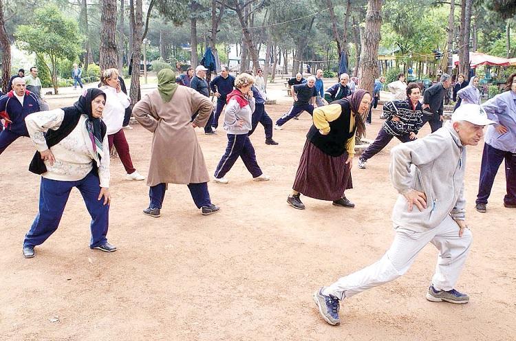 Elderly population increases 22 pct over five years