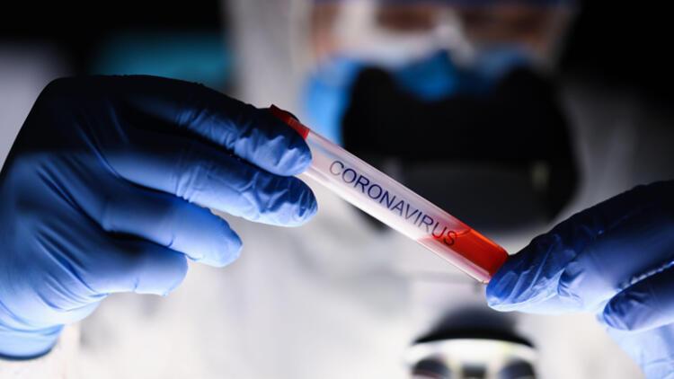 Coronavirus death toll up by 15 to 59, with 561 new cases