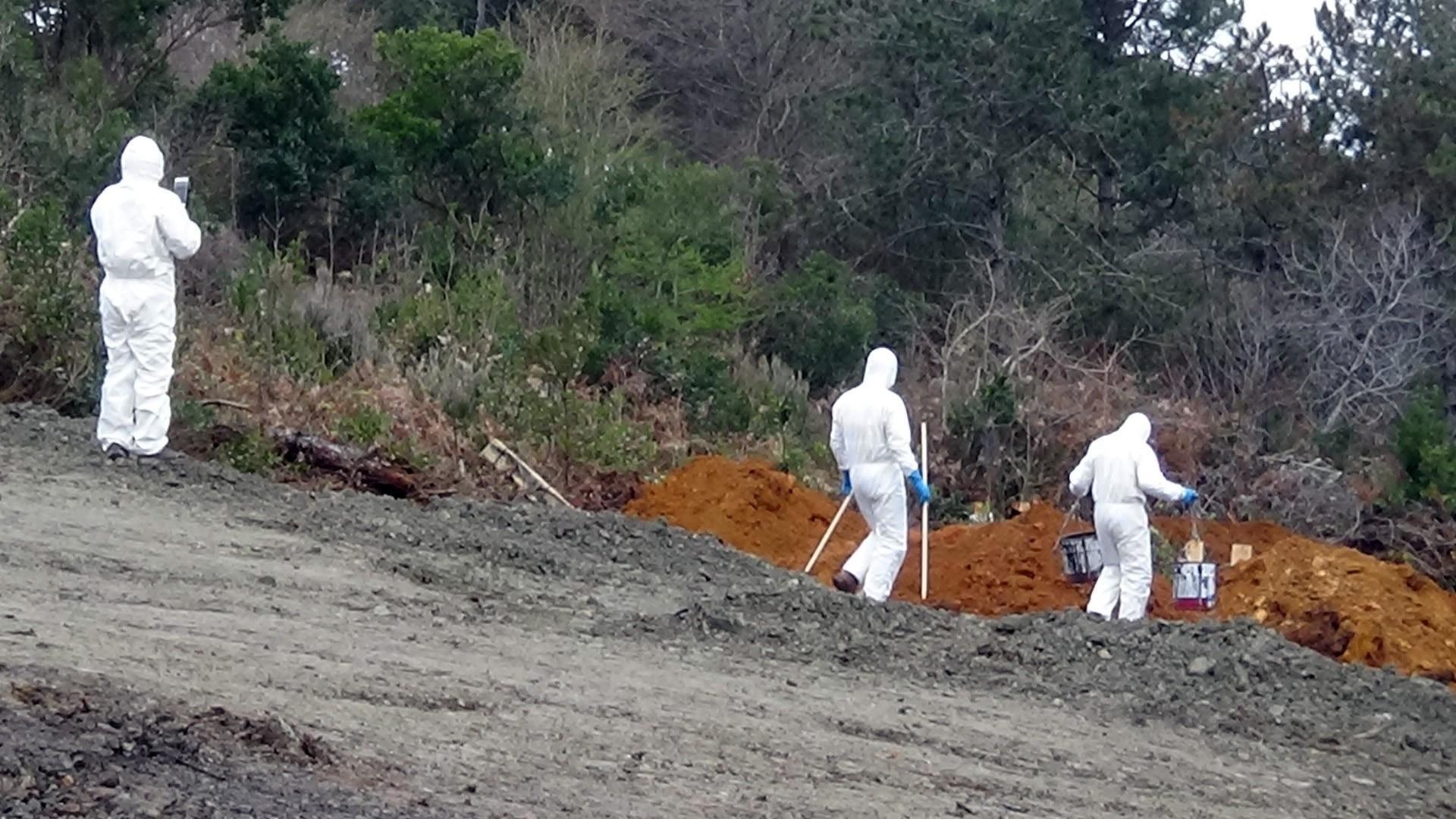 Two cemeteries in Istanbul designated for virus victims