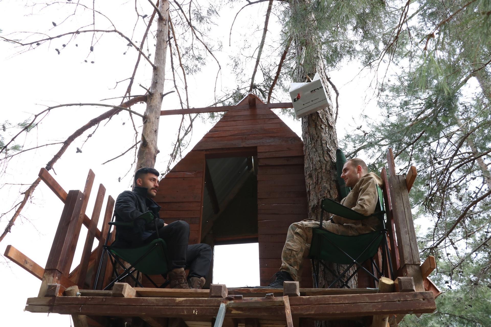 Youngsters settle in treehouse amid epidemic