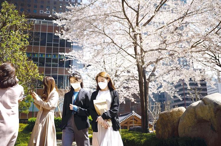 S Korea controls COVID-19 outbreak without any lockdown: Envoy